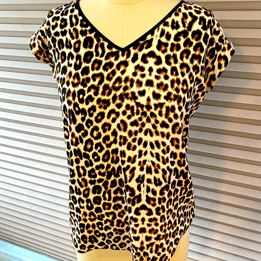 Express Silky Top